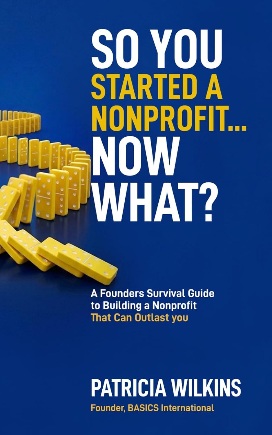 So You Started a Nonprofit